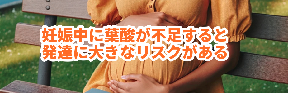 妊娠中に葉酸が不足すると発達に大きなリスクがある